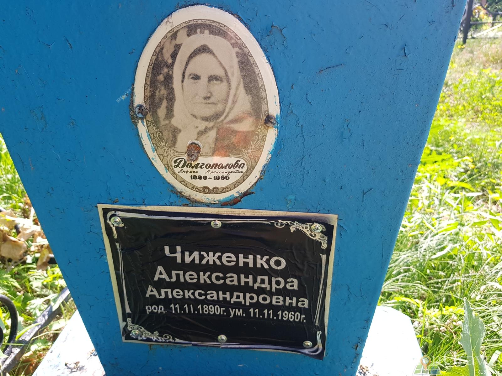 Чиженко Александра Александровна