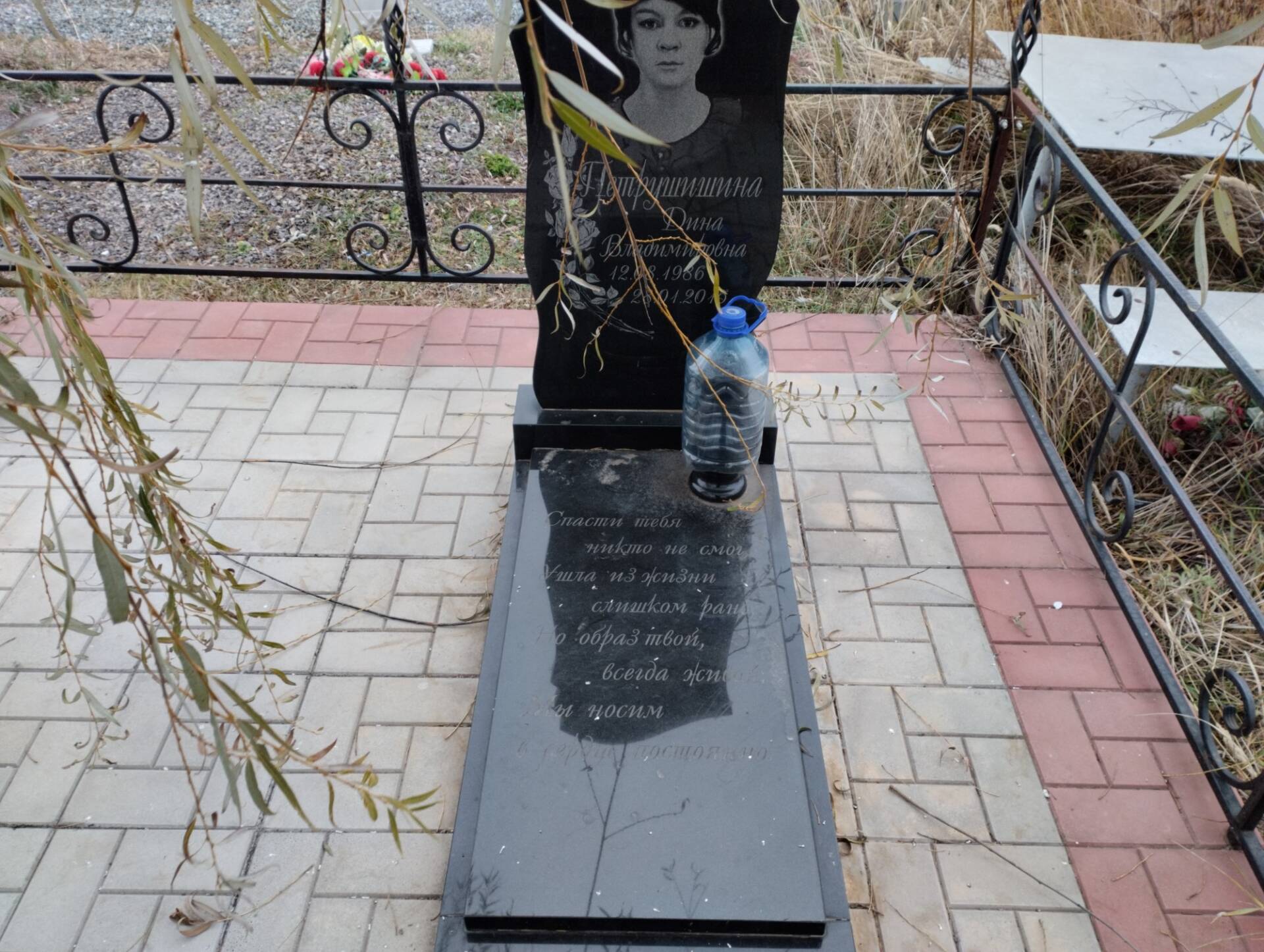 Петрушинина Дина Владимировна