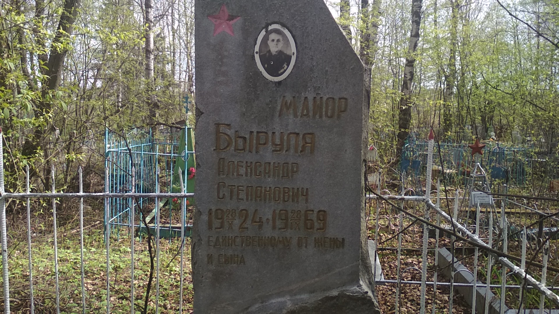 Быруля Александр Степанович