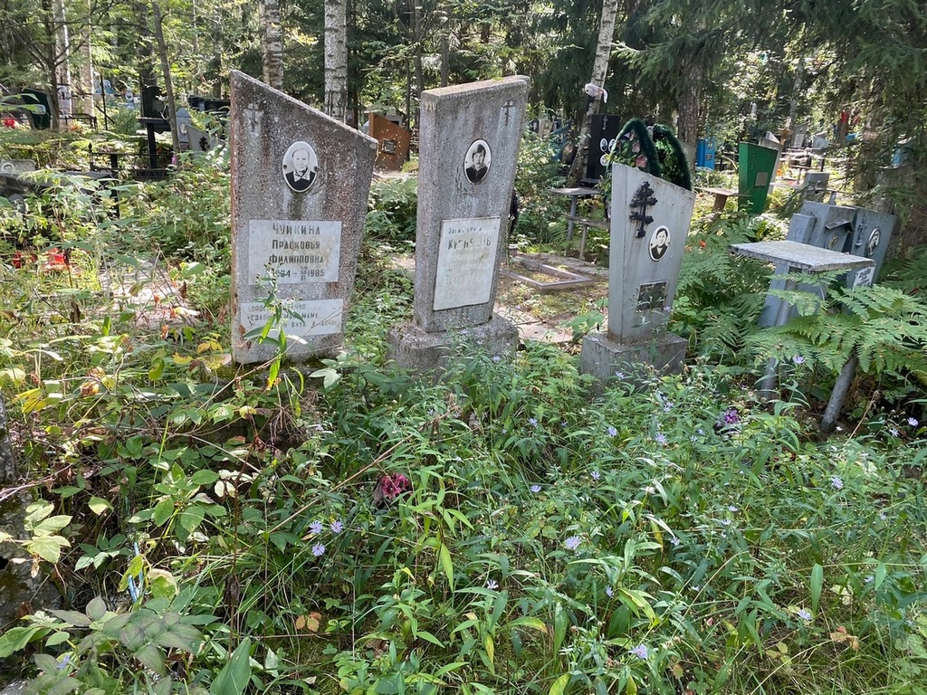Чуйкина Прасковья Филипповна