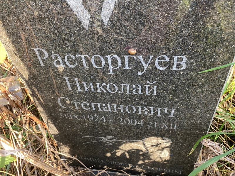 Расторгуев
