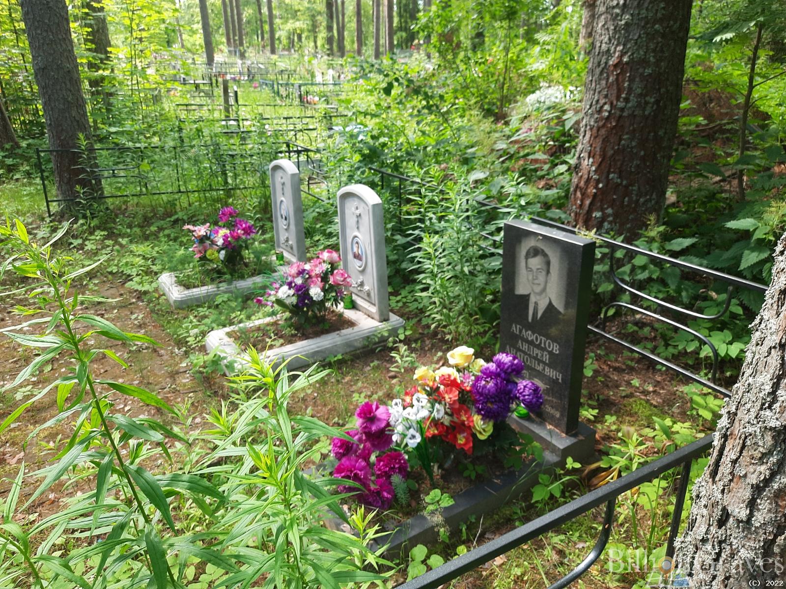 Агафотов Анатолий Николаевич