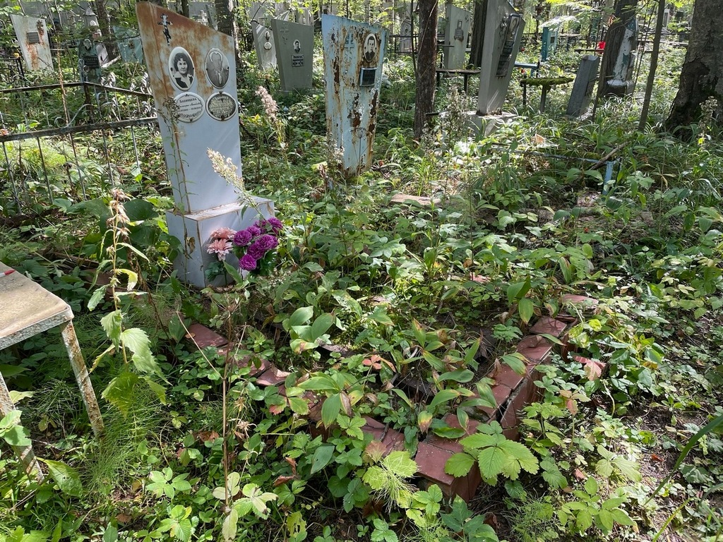 Бабинцева Апполинария Михайловна