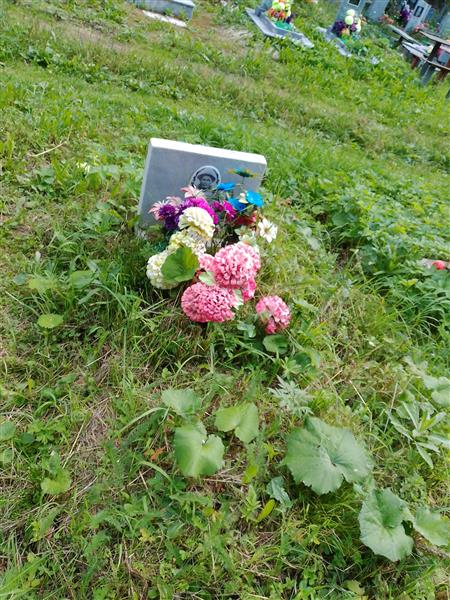 Деев Анатолий Лаврентьевич