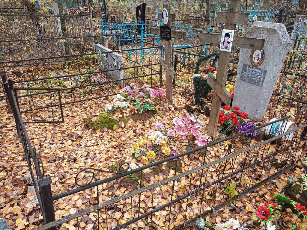 Галанин Николай Александрович