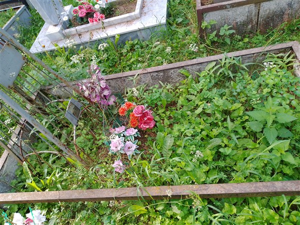 Баженов Николай Фёдорович
