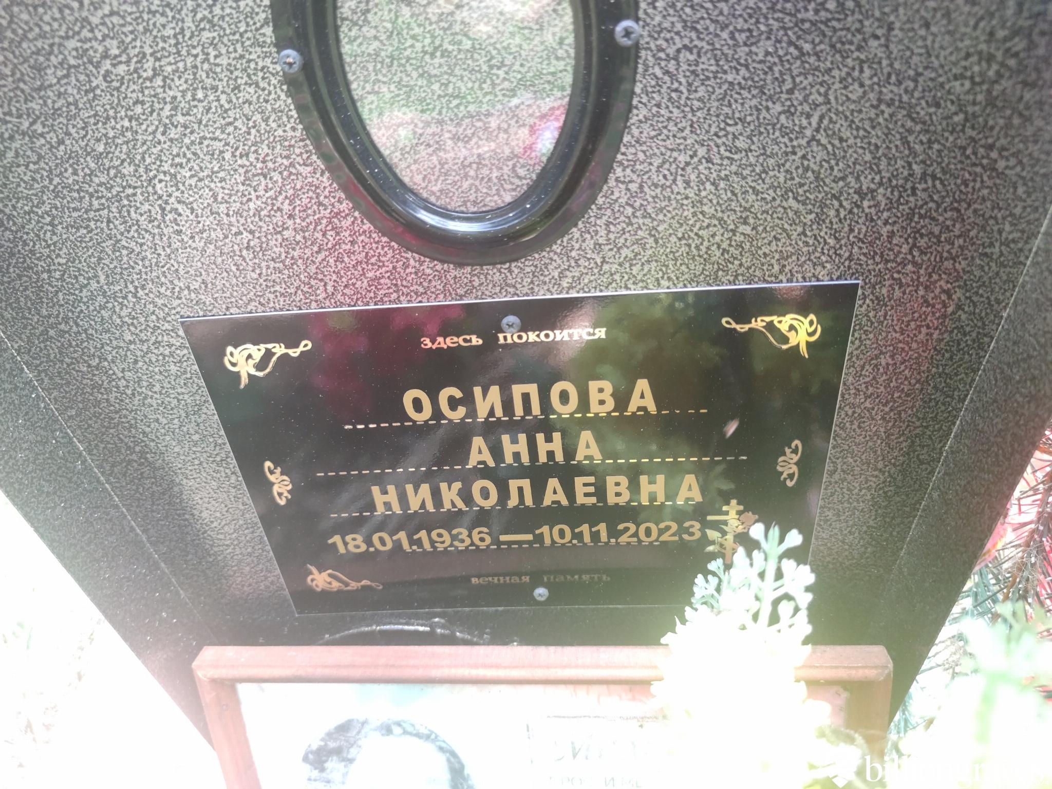 Осипова Анна Николаевна