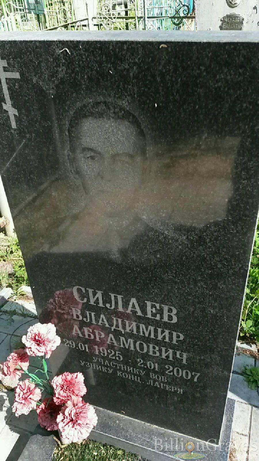 силаев владимир абрамович