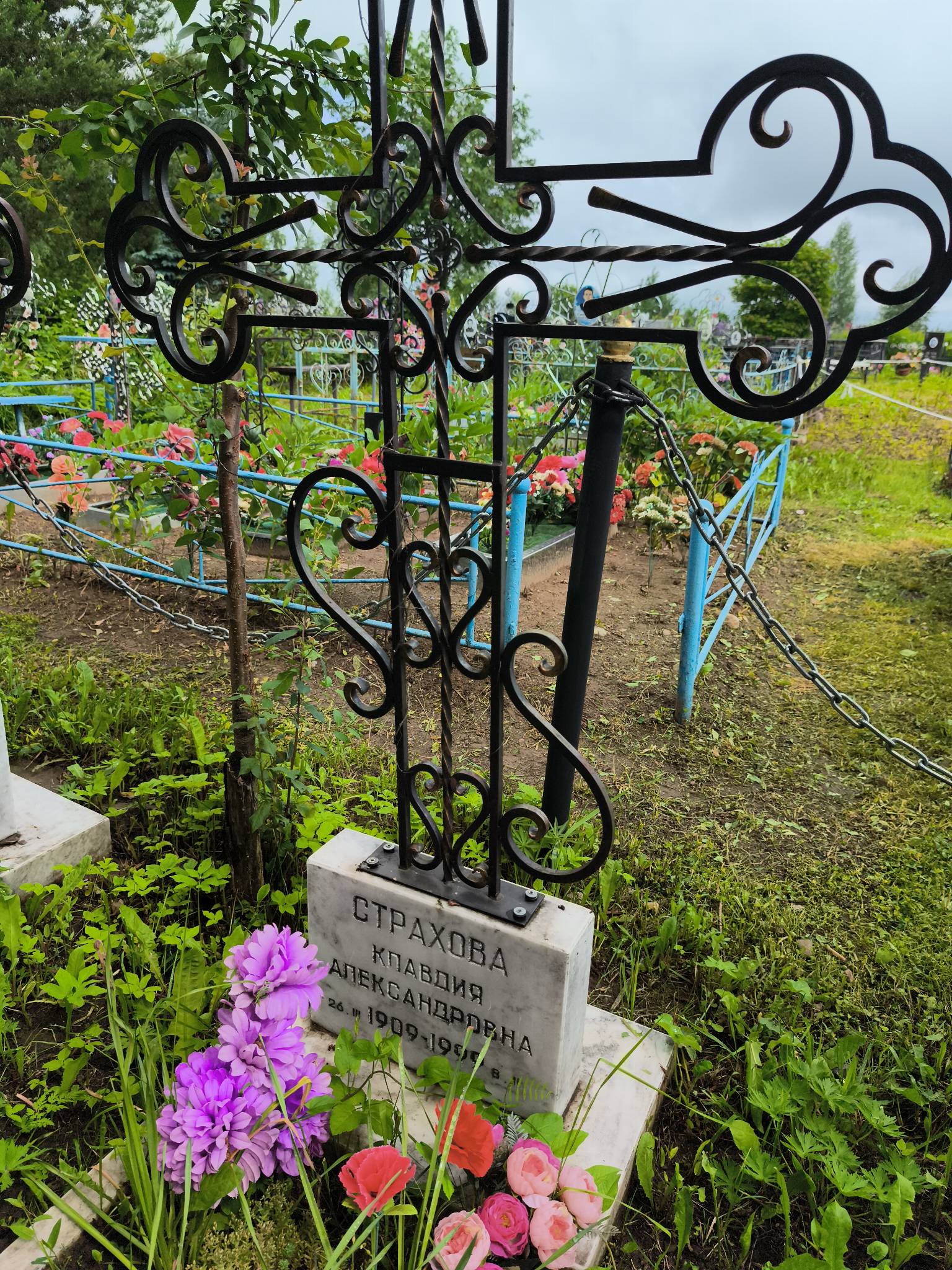 Страхова Клавдия Александровна
