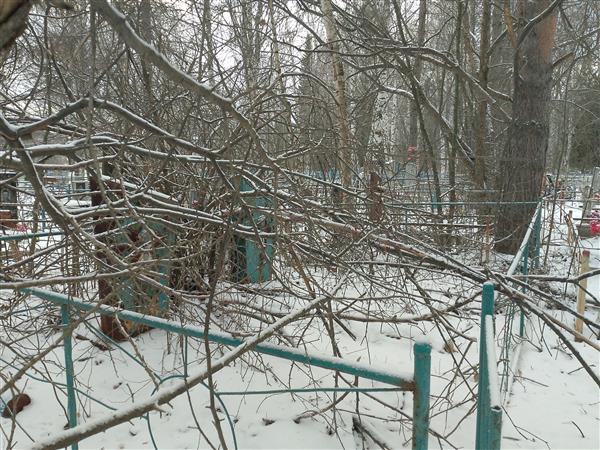 Носков Александр Сергеевич