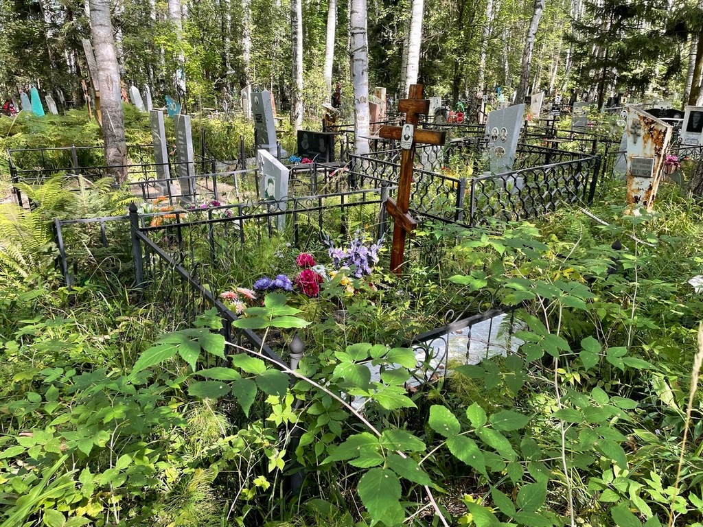 Заседателев Александр Игоревич