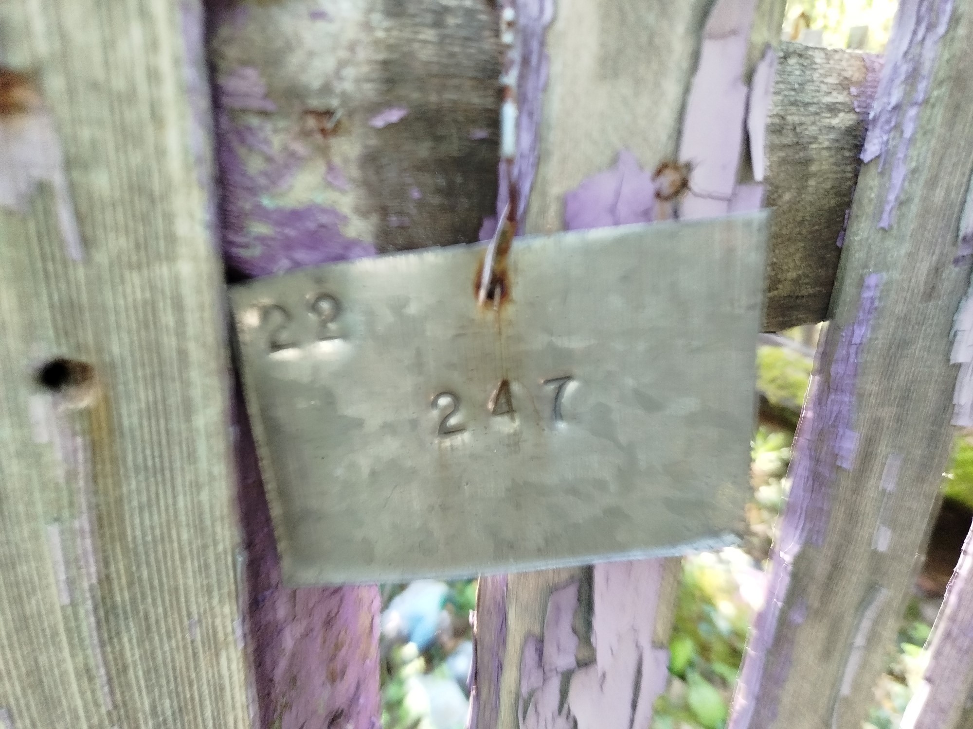 Патаева Екатерина Фроловна