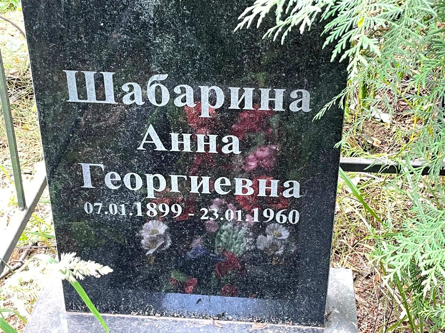 Шабарина