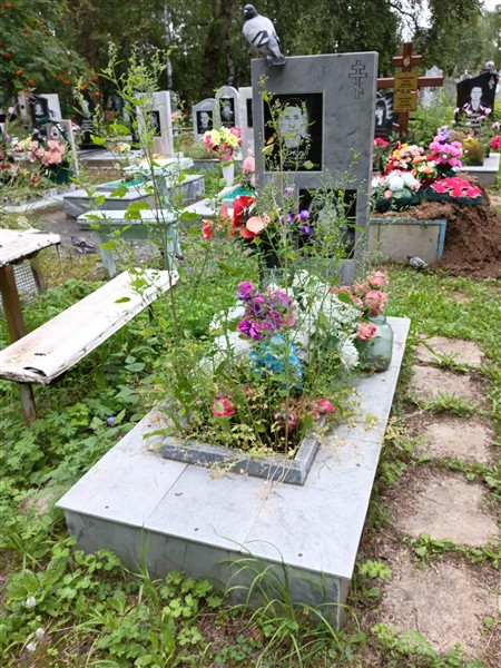 Сокова Елена Витальевна