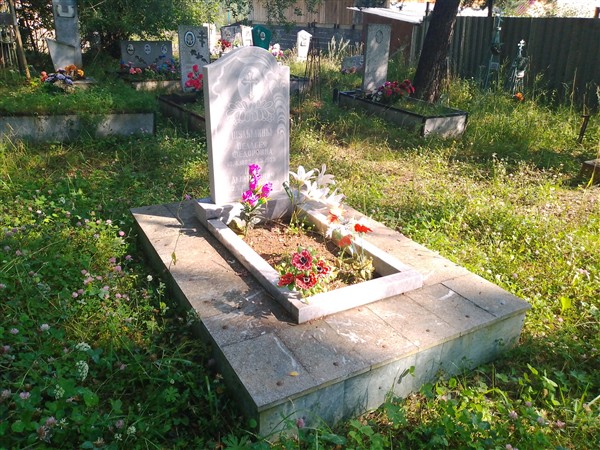 Шульмин Петр Дмитриевич
