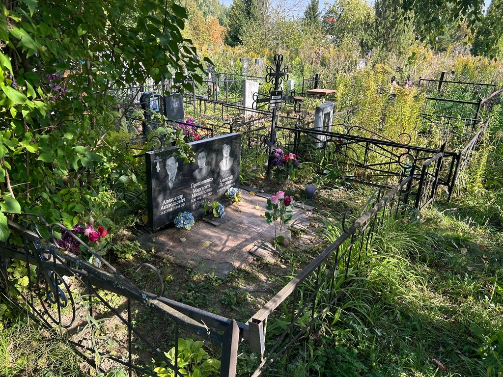 Прокопишко Александр Анатольевич