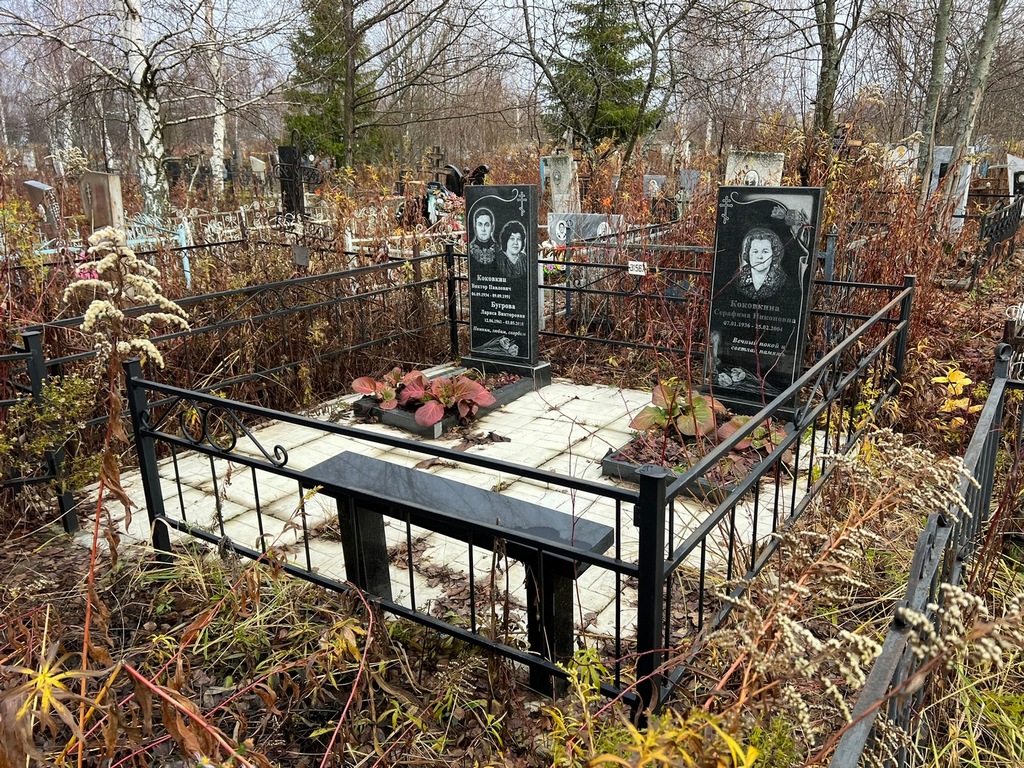 Коковкина Серафима Никоновна