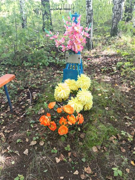 Сыромятникова Юлия Александровна