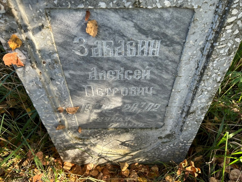 Забавин