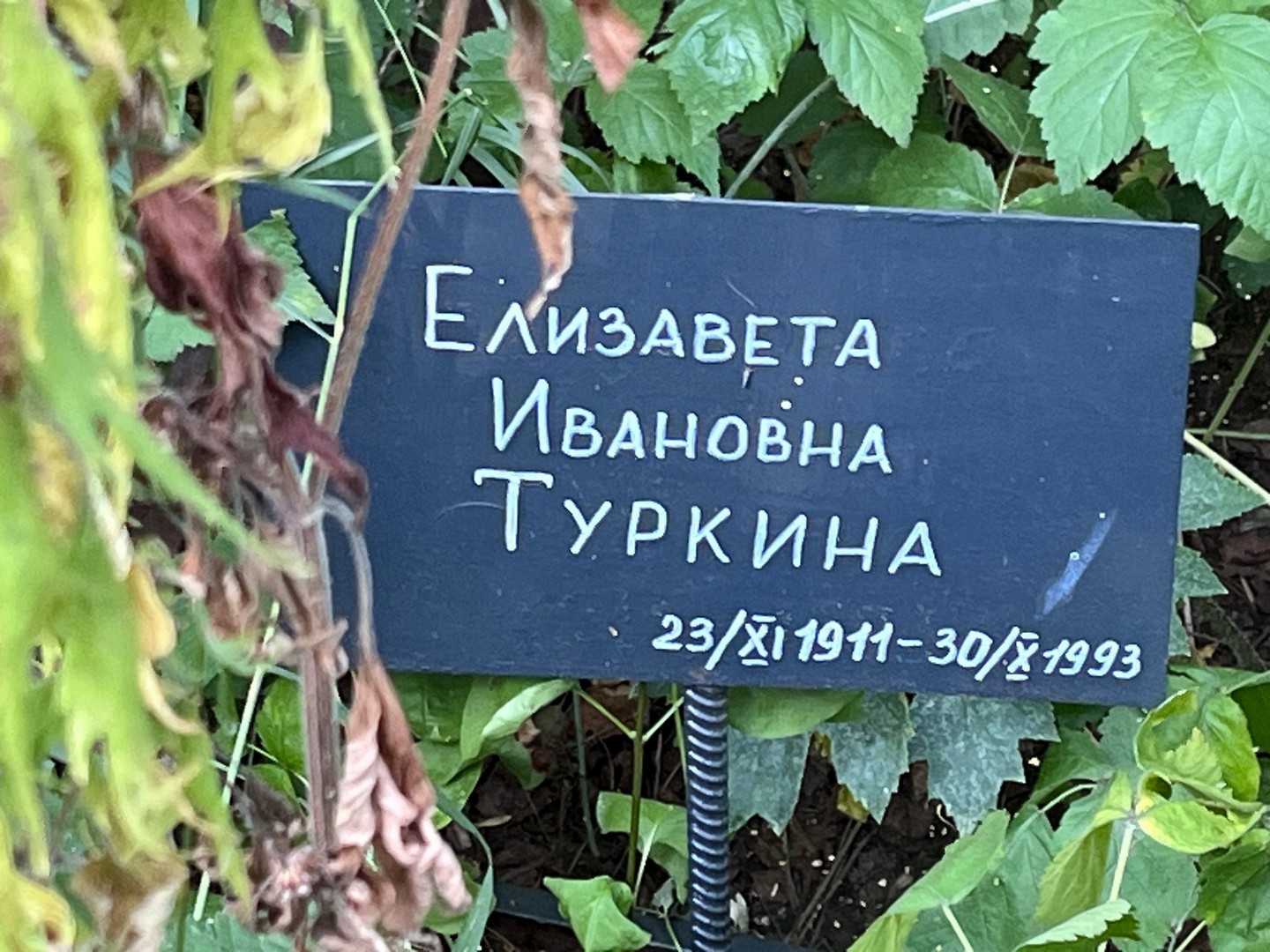 Туркина