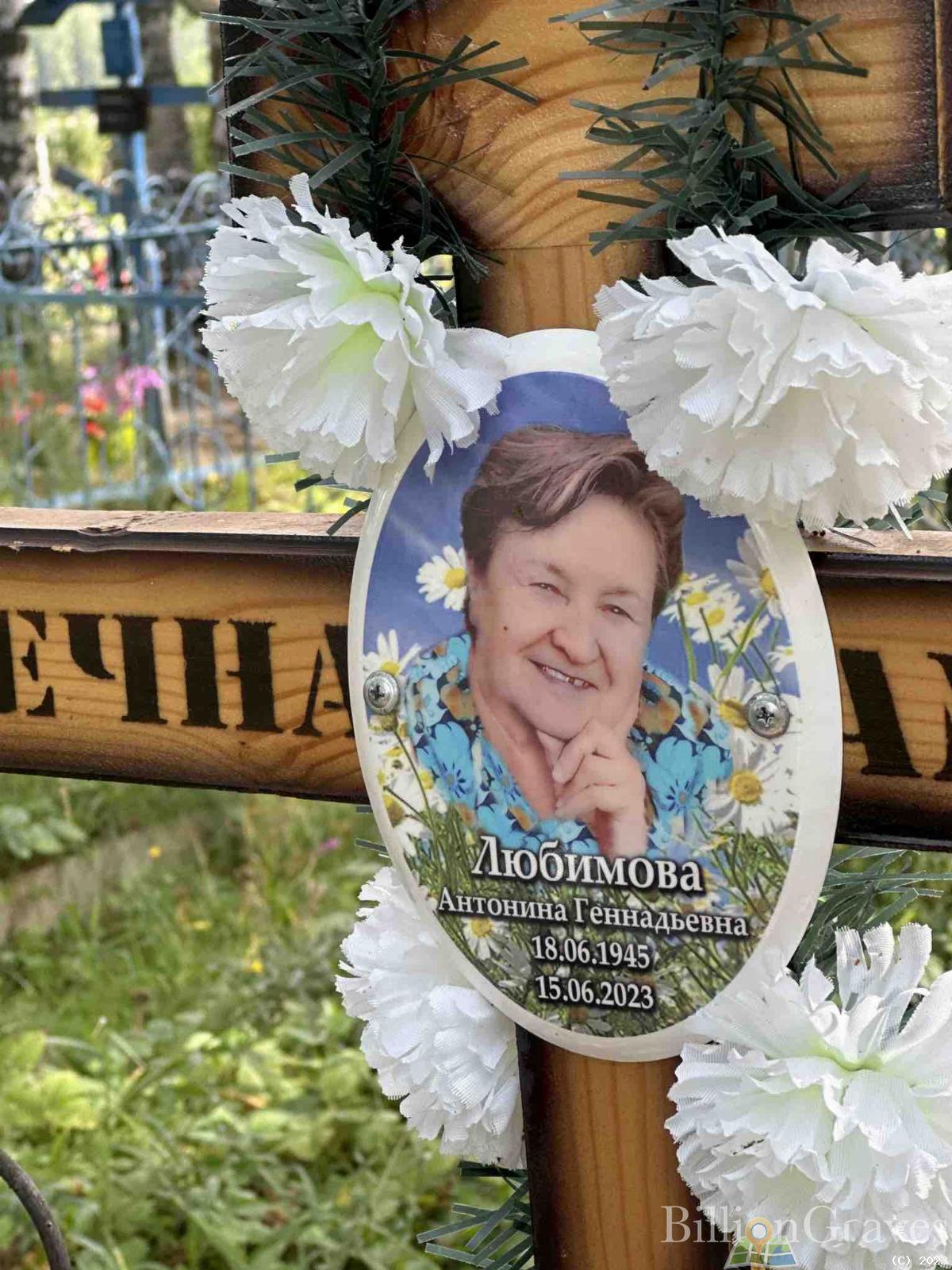 Любимова Антонина Геннадьевна