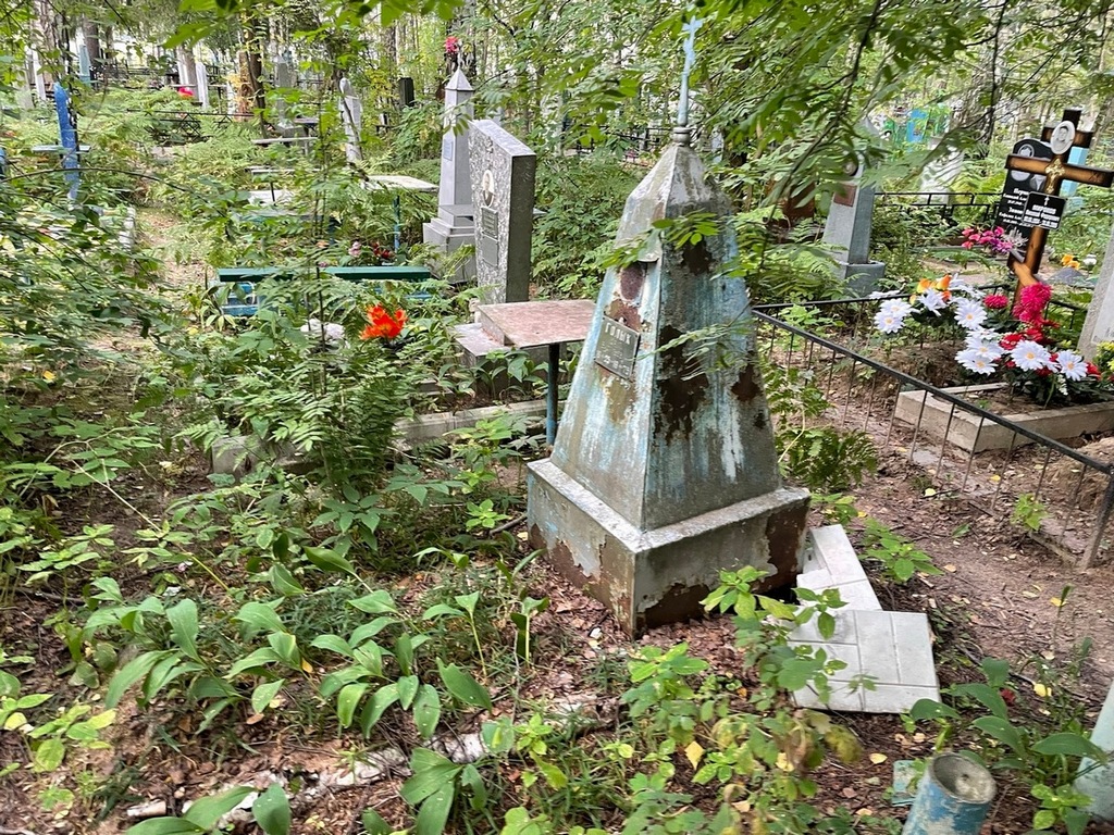 Голых Юрий Васильевич