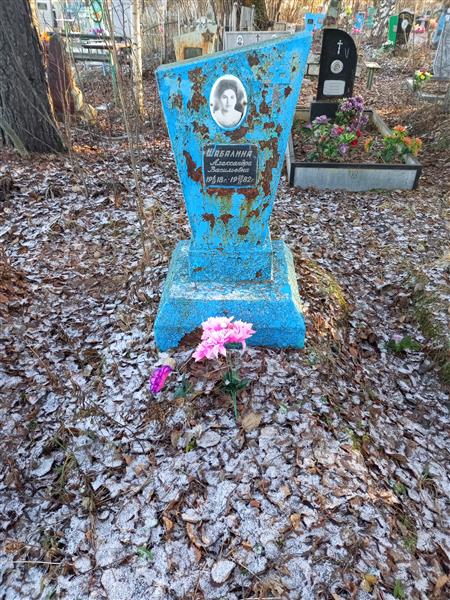 Шабалина Александра Васильевна