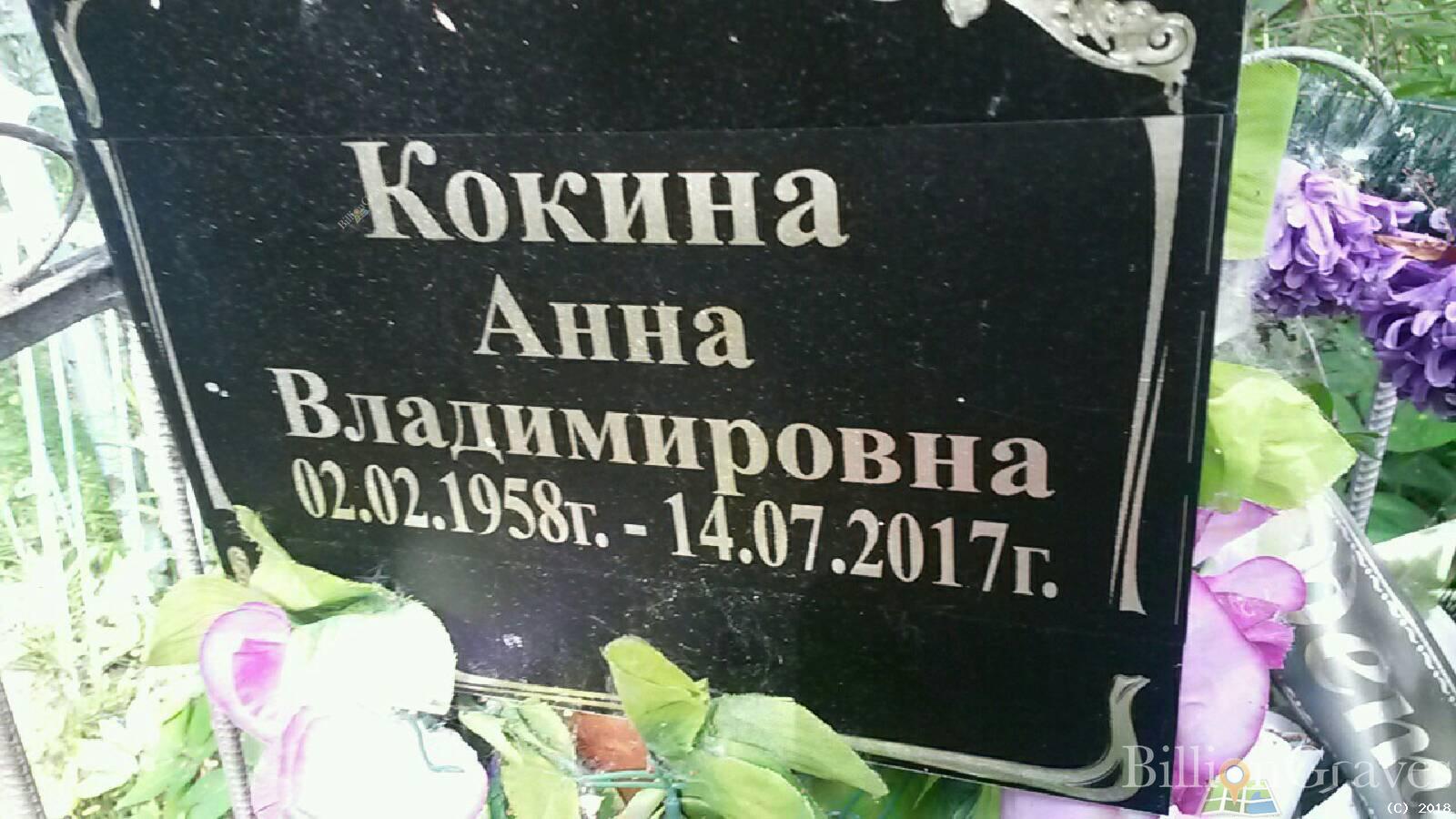 Кокина Анна Владимировна