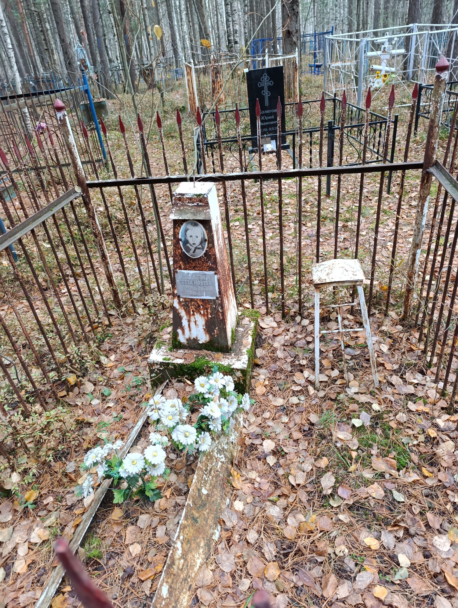 Долгих Света Юрьевна