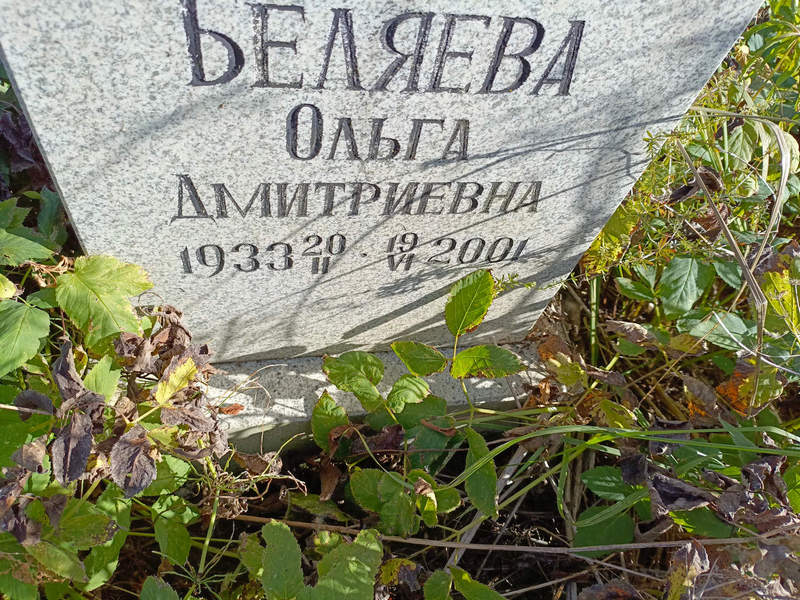 Беляева
