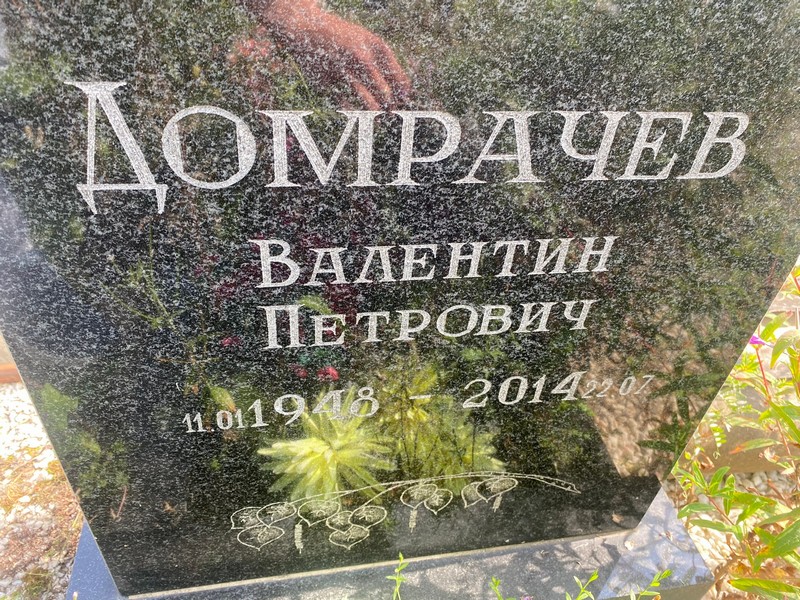 Домрачев