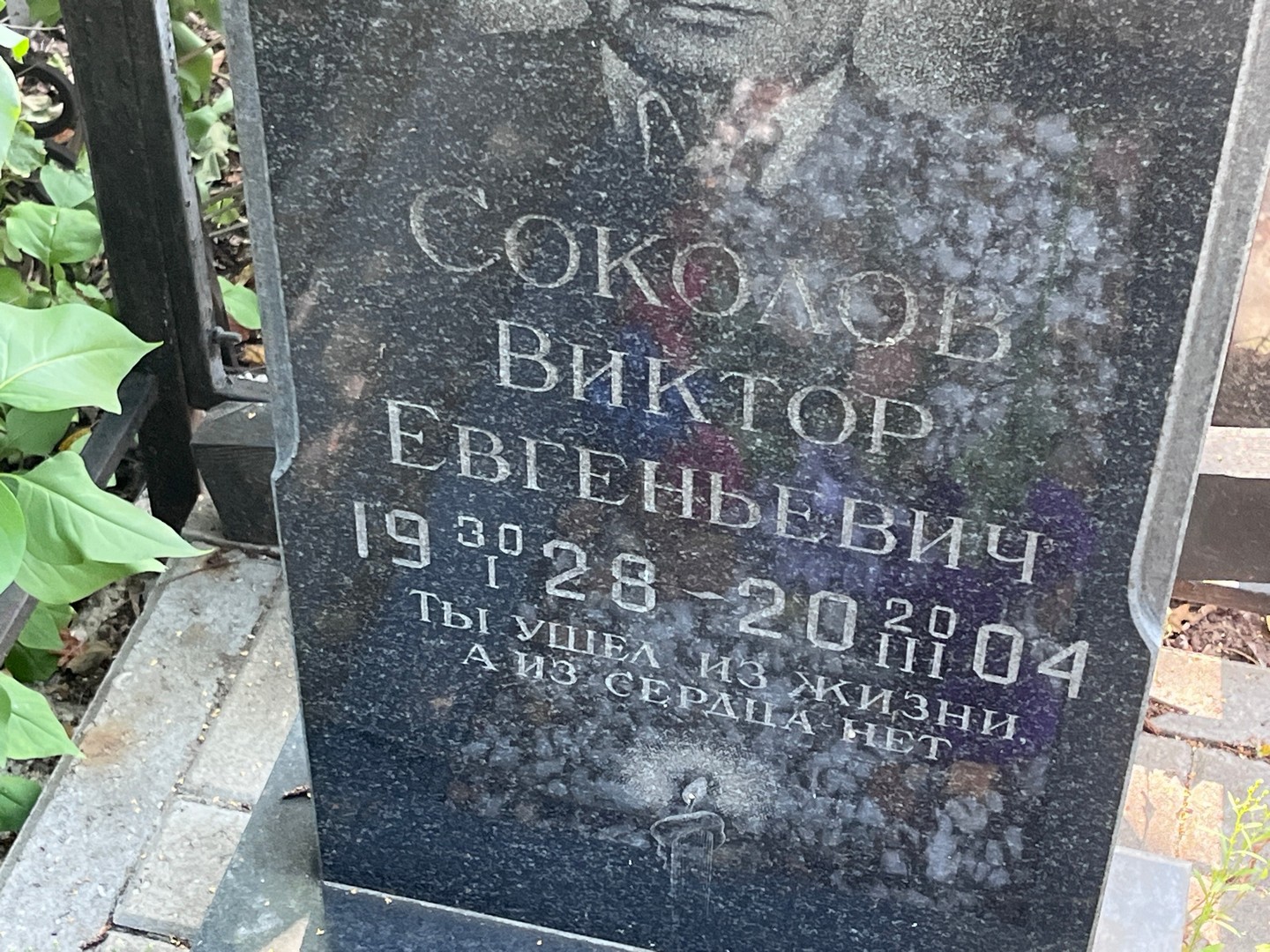 Соколов
