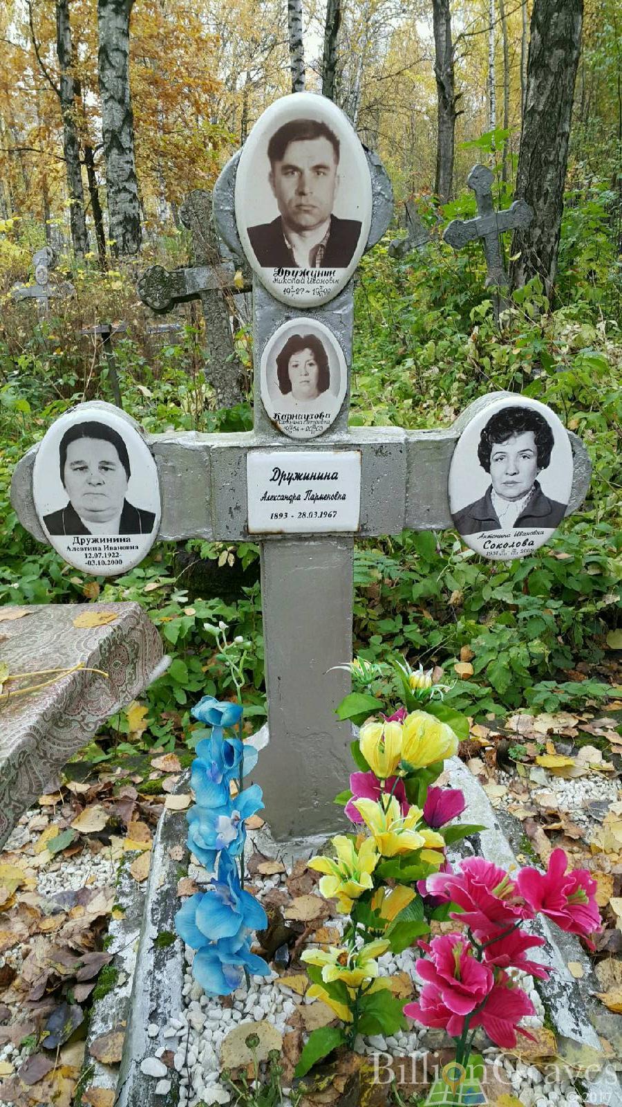 Дружинина Алевтина Ивановна