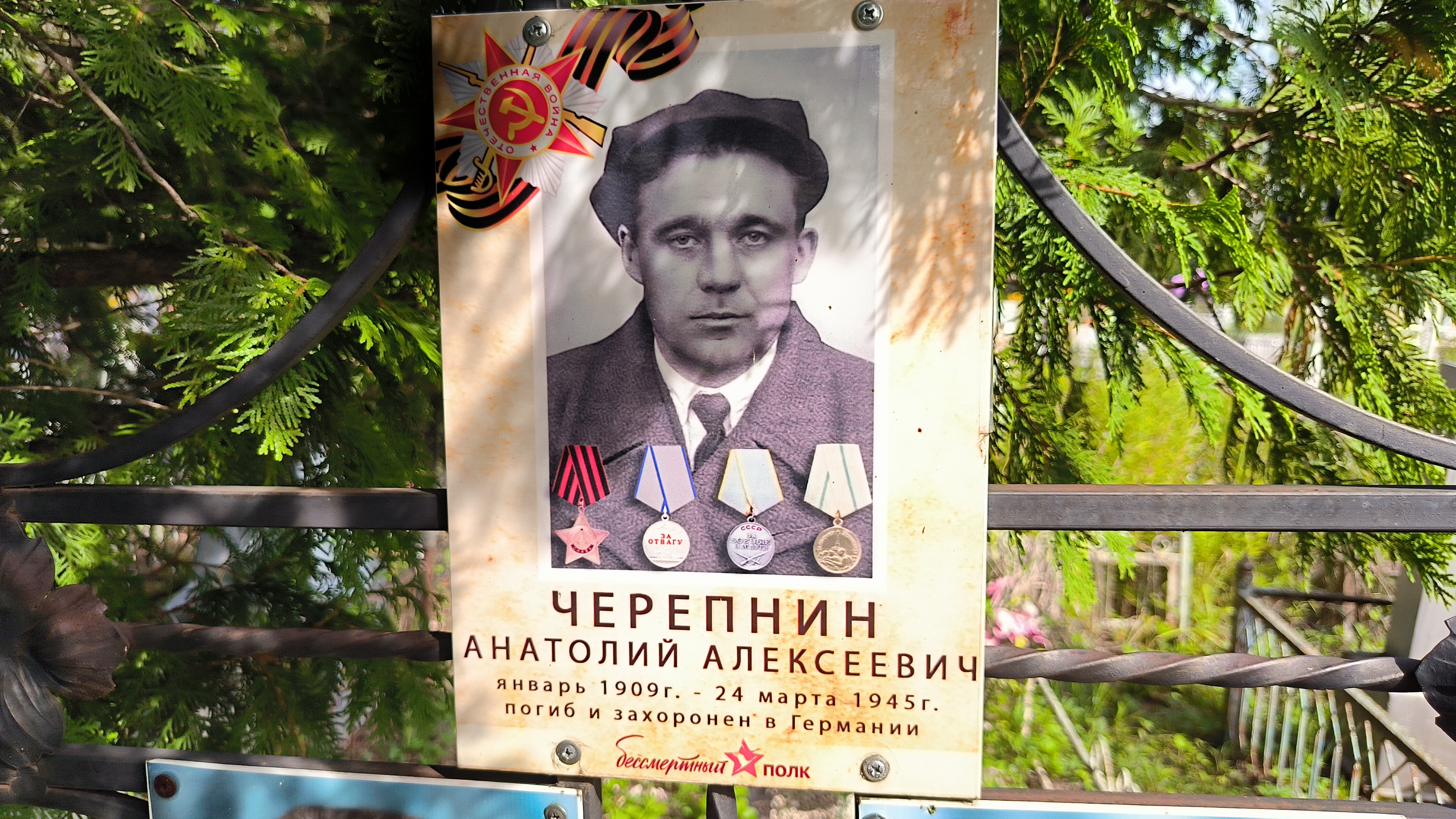 Черепнин Анатолий Алексеевич