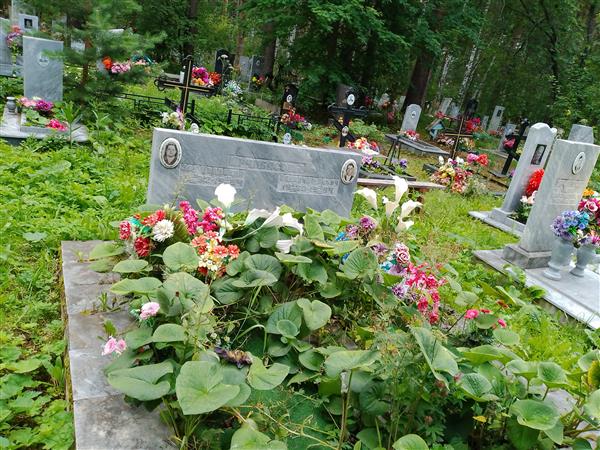 Арчибасов Владимир