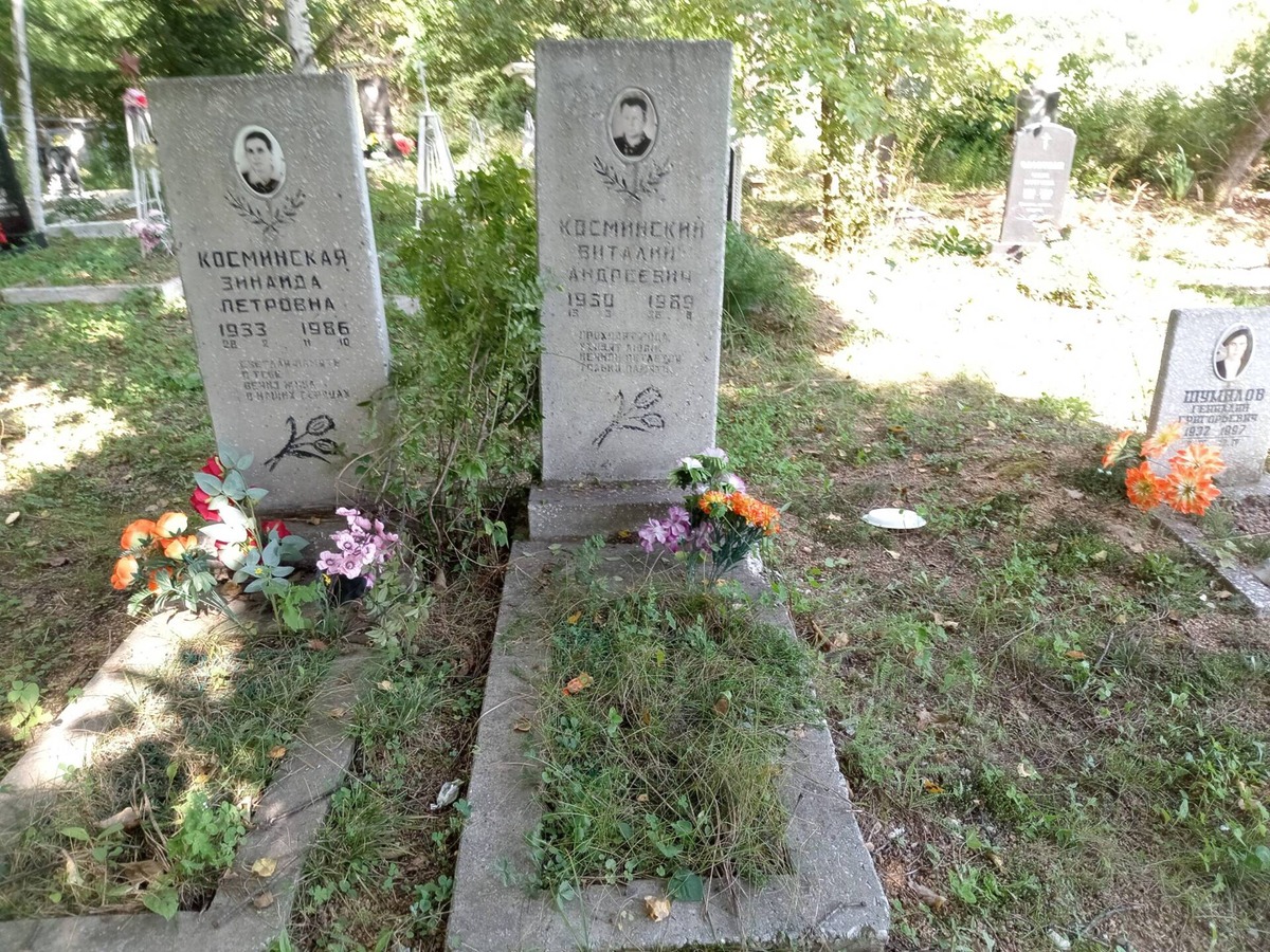 Косминский Виталий Андреевич