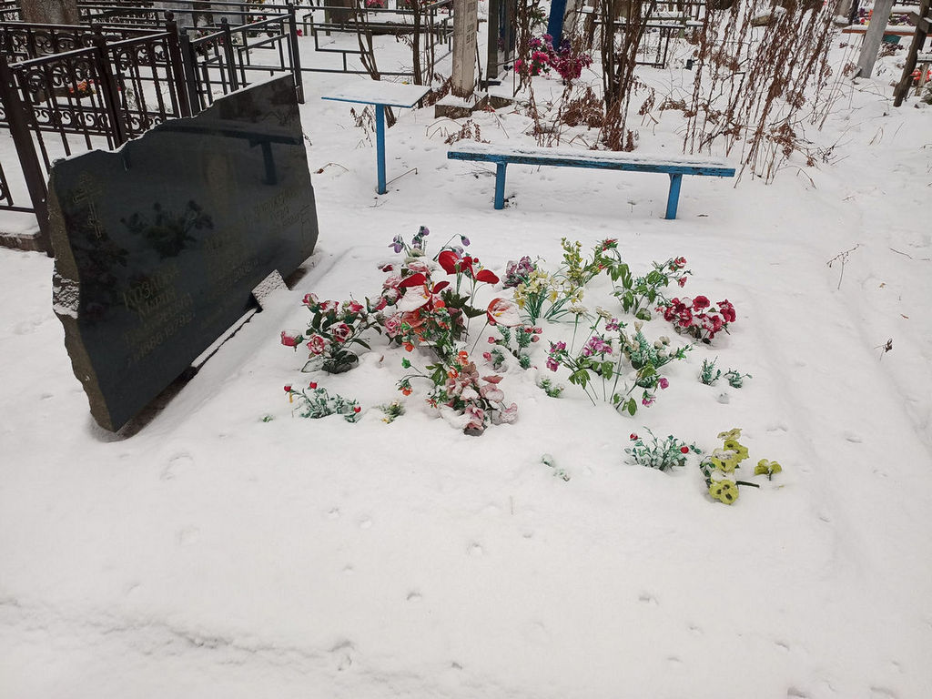 Логинова Елизавета Алексеевна
