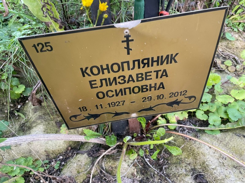 Конопляник