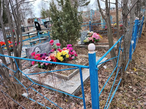 Воронова Надежда Борисовна