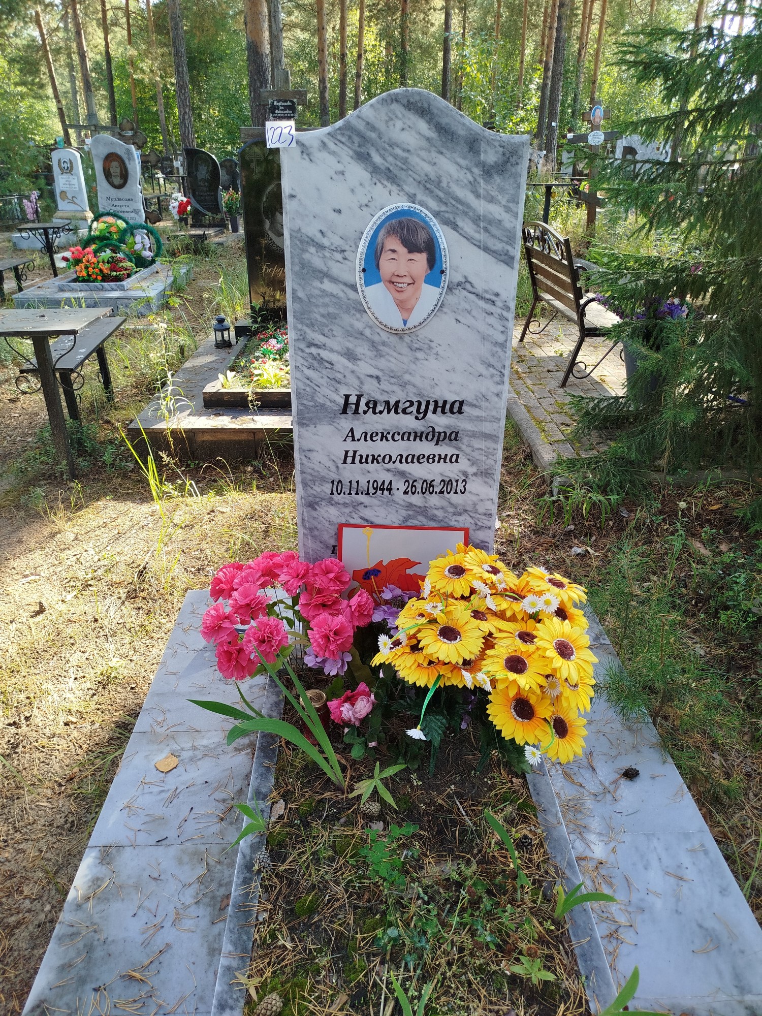 Нямгуна Александра Нколаевна
