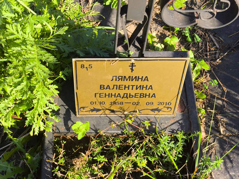 Лямина
