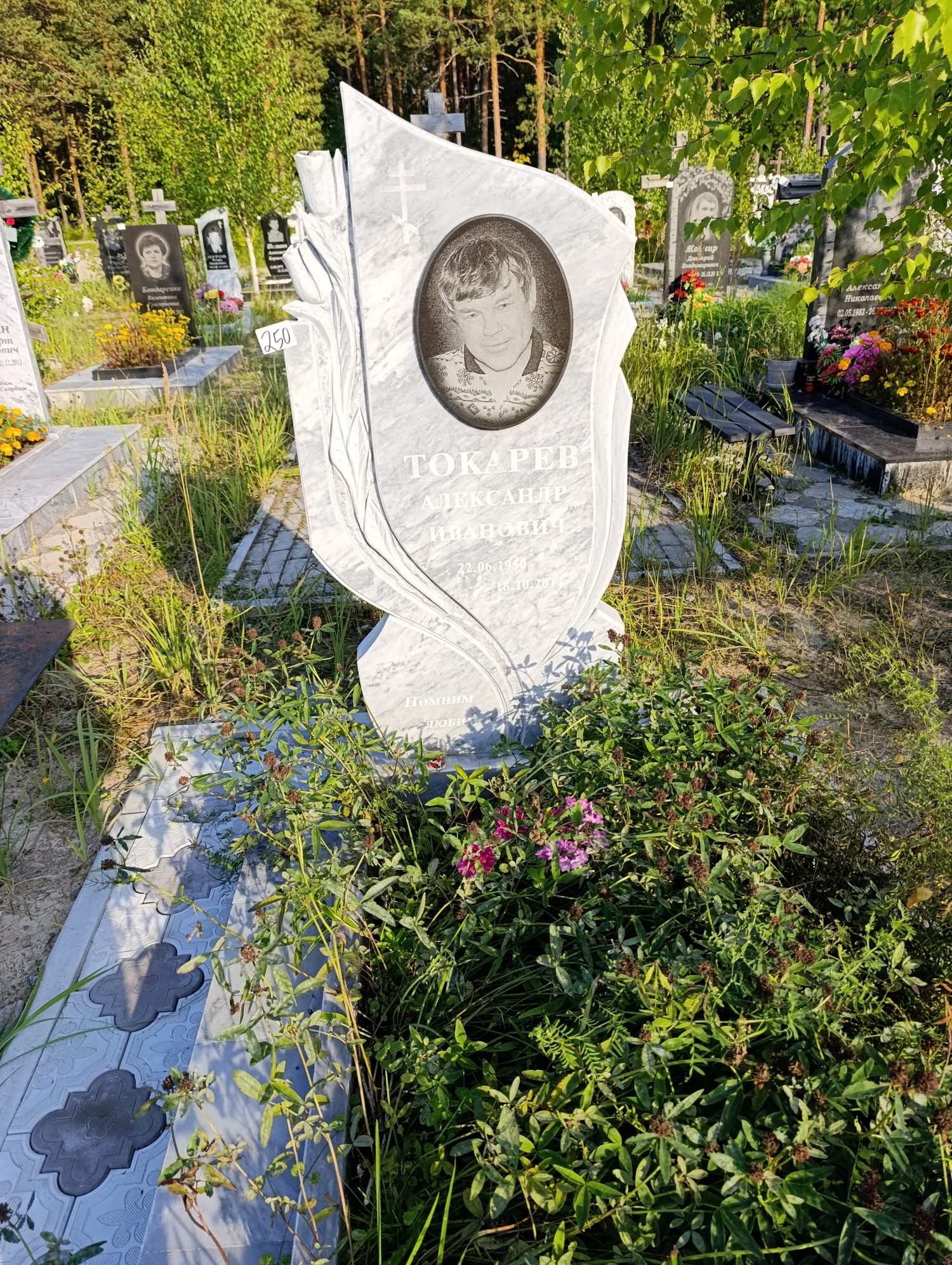 Токарев Александр Иванович