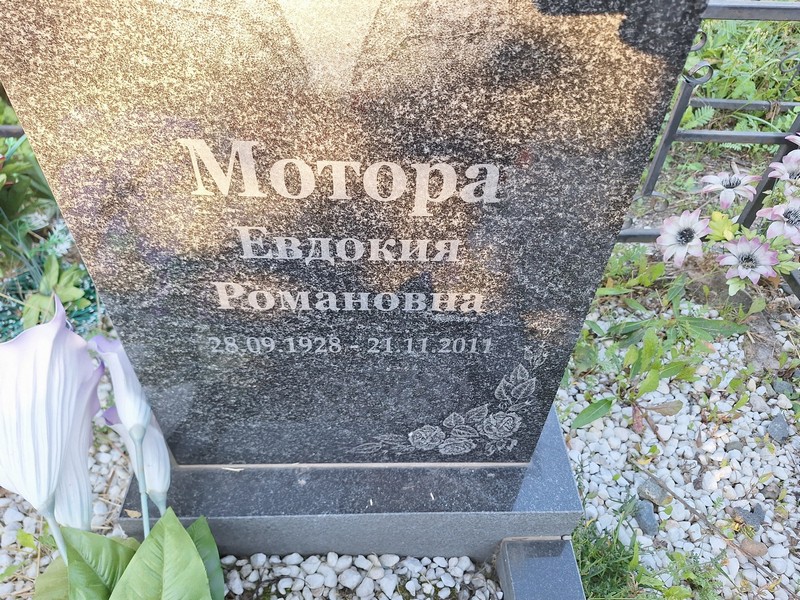 Мотора
