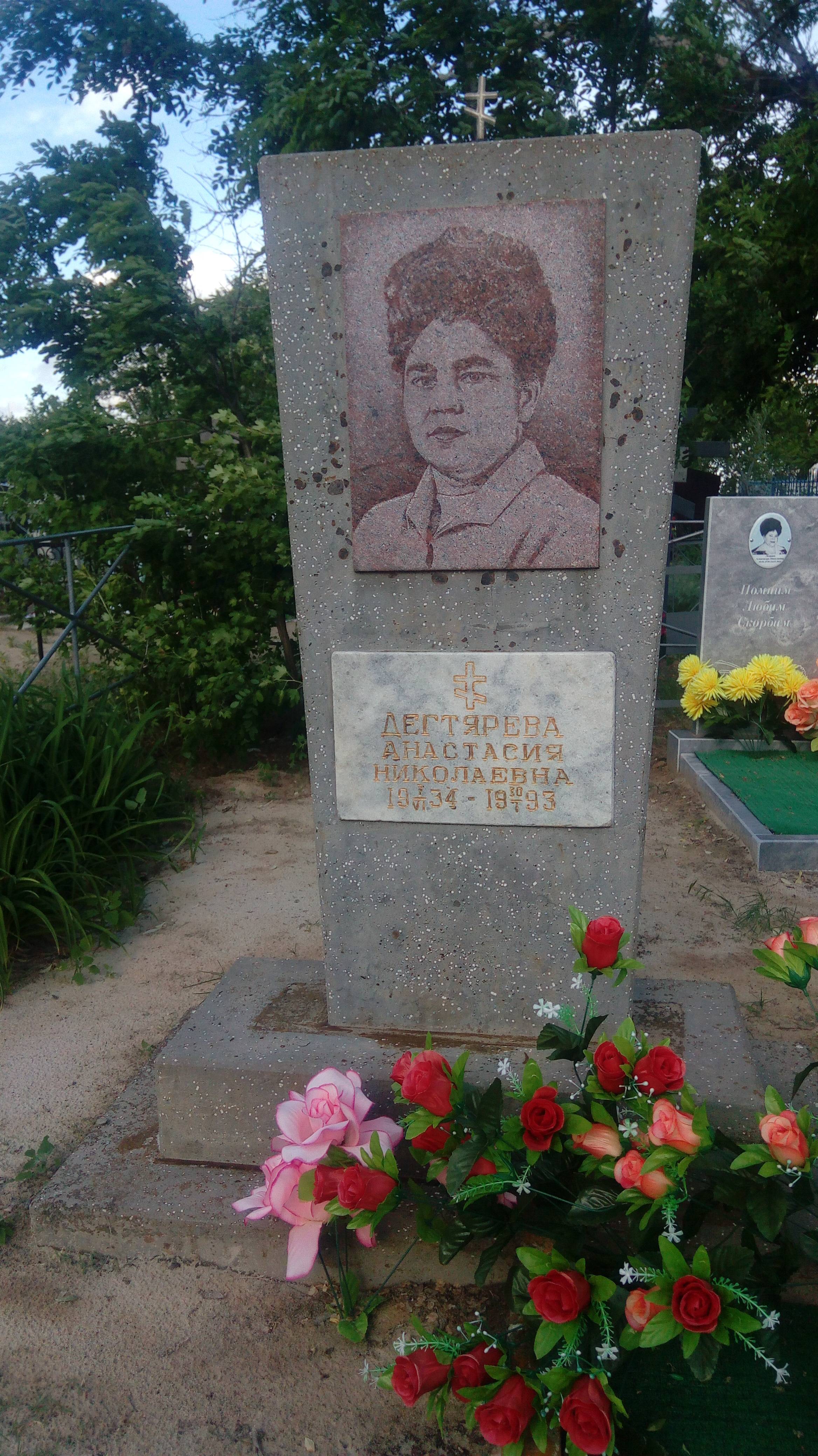 Дегтярева Анастасия Николаевна