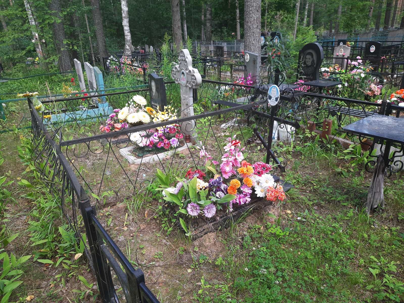 Конончук Валентина Николаевна