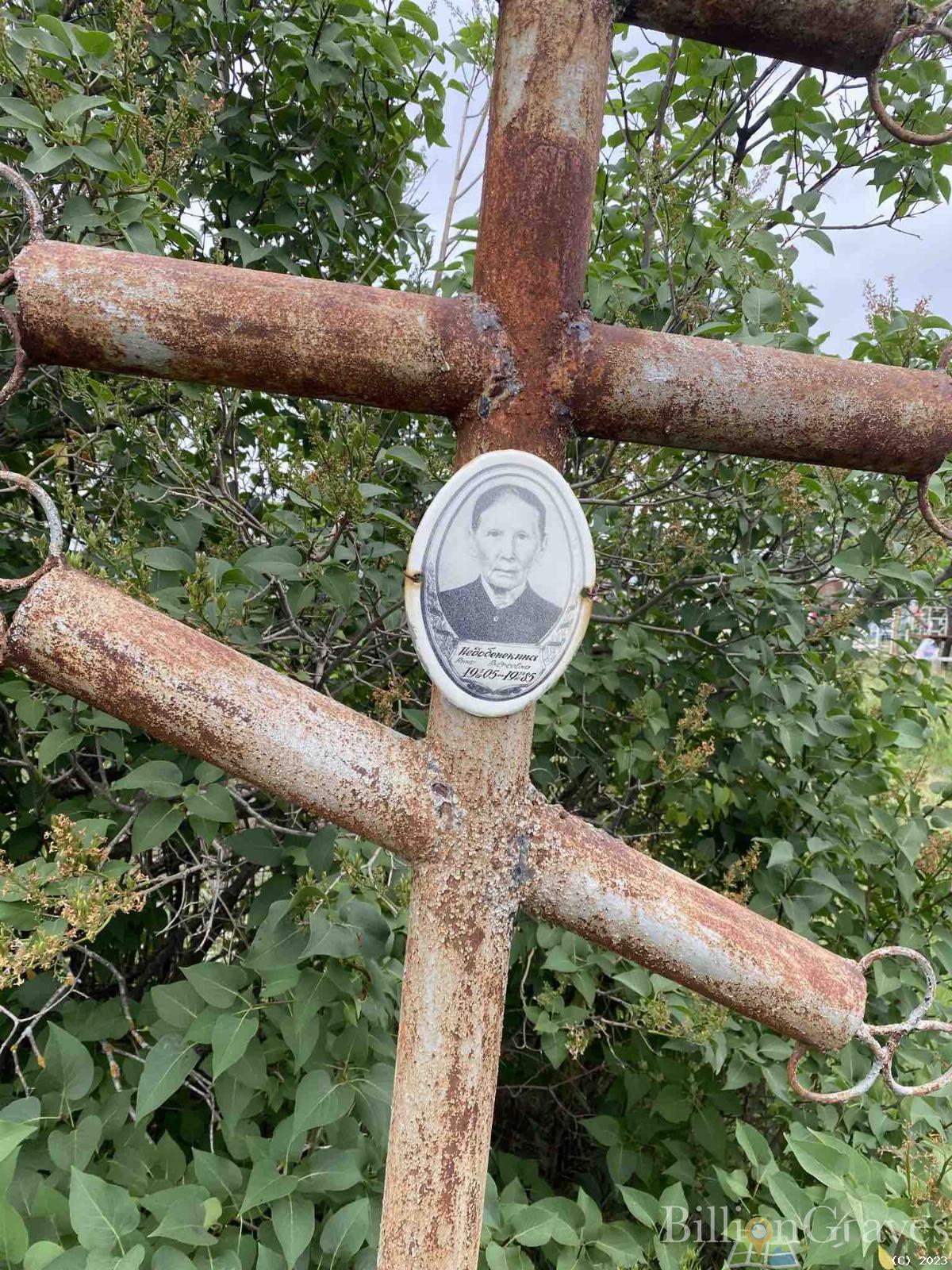 Недобежкина Анна Андреевна