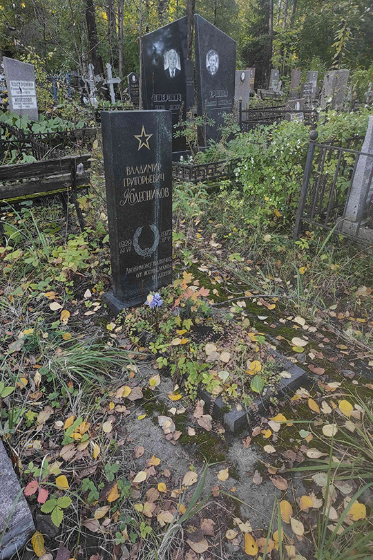 Колесников Владимир Григорьевич