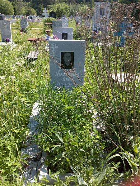 Ложкина Вера Ивановна