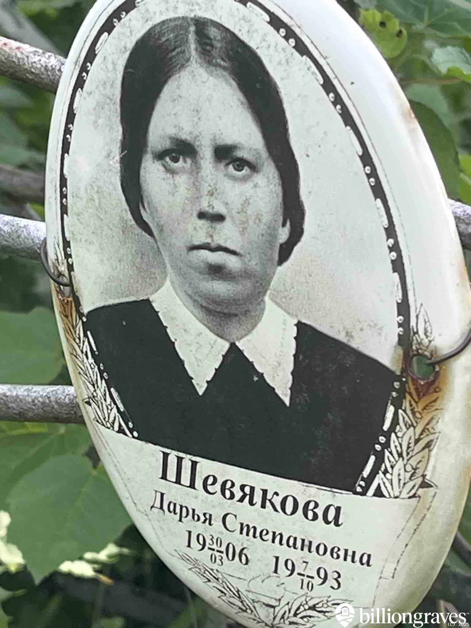 Шевякова Дарья Степановна