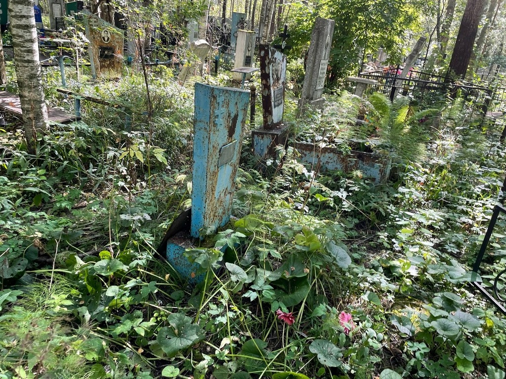 Пичугина Александра Ивановна